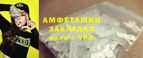крисы Каменка