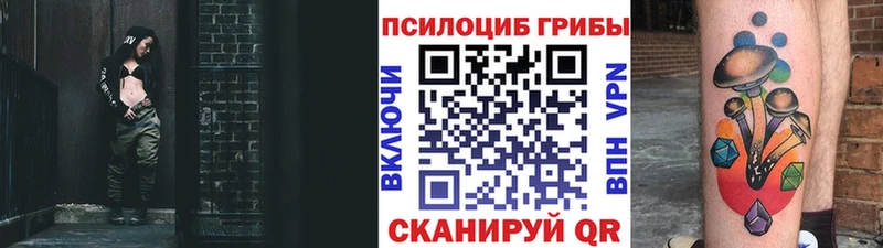 купить сайты Пересвет Галлюциногенные грибы Psilocybine cubensis